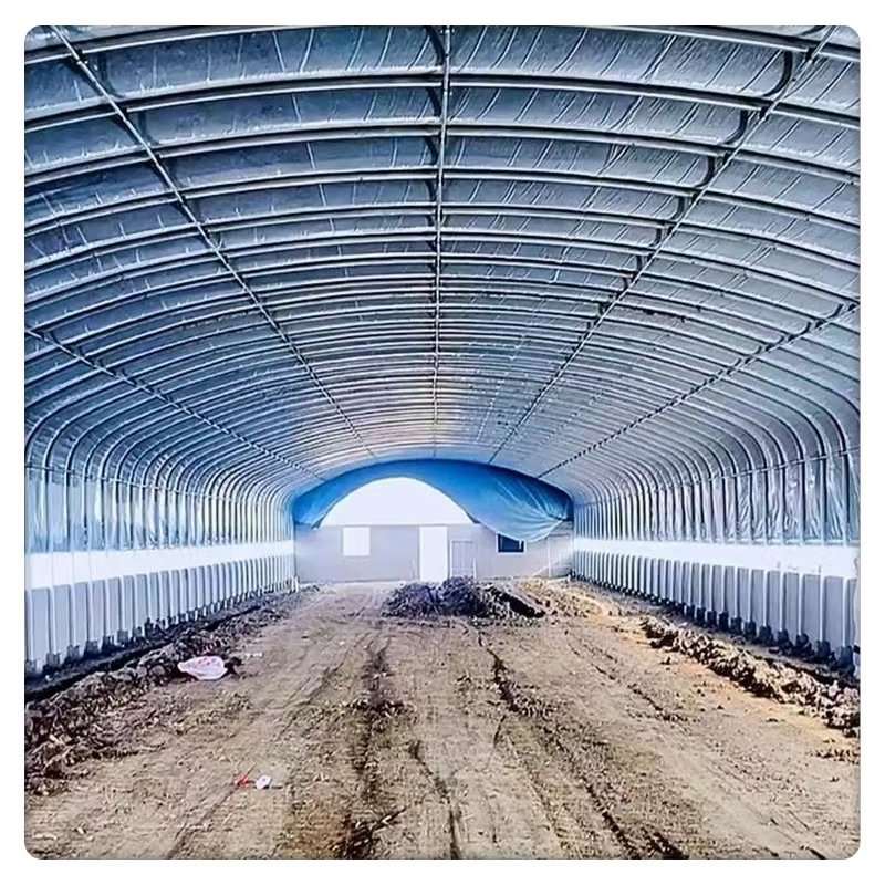 Single Span Greenhouse Tomato Vegetable Planting Commercial Agricultural Galvanized Steel Multi-Span Plastic Tunnel Film