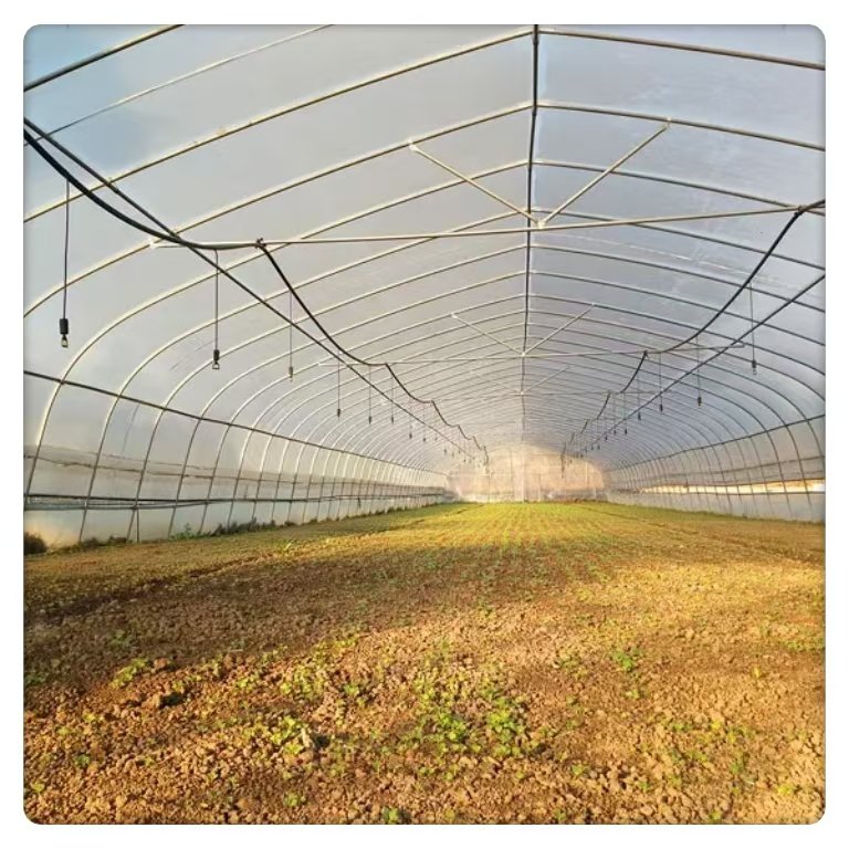 Single Span Greenhouse Tomato Vegetable Planting Commercial Agricultural Galvanized Steel Multi-Span Plastic Tunnel Film