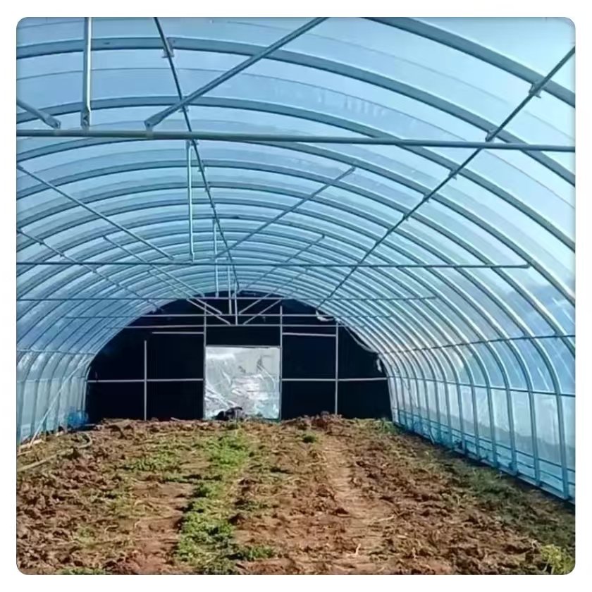 Single Span Greenhouse Tomato Vegetable Planting Commercial Agricultural Galvanized Steel Multi-Span Plastic Tunnel Film