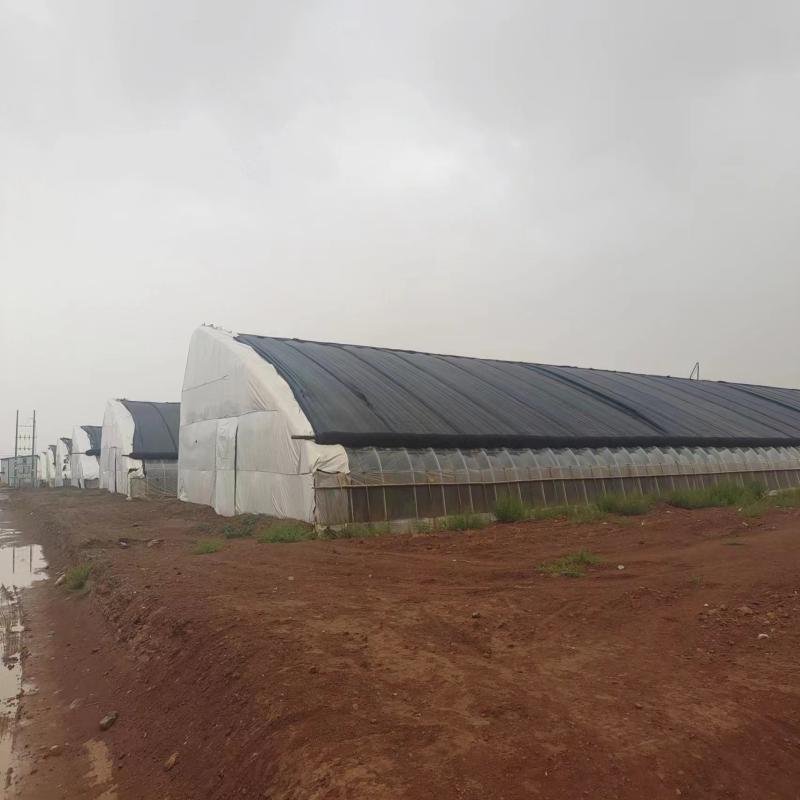 Chinese Passive Solar Agricultural Cheap Greenhouse With Warm Keeping Quilt For Sale