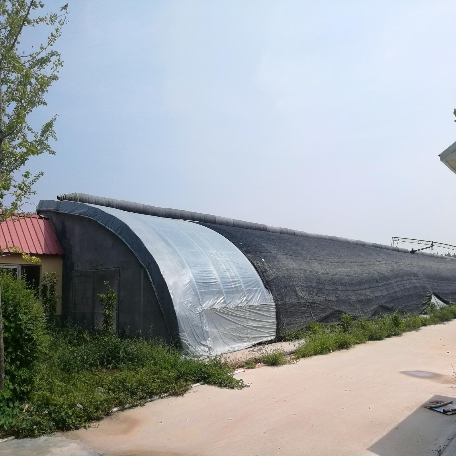 Chinese Passive Solar Agricultural Cheap Greenhouse With Warm Keeping Quilt For Sale