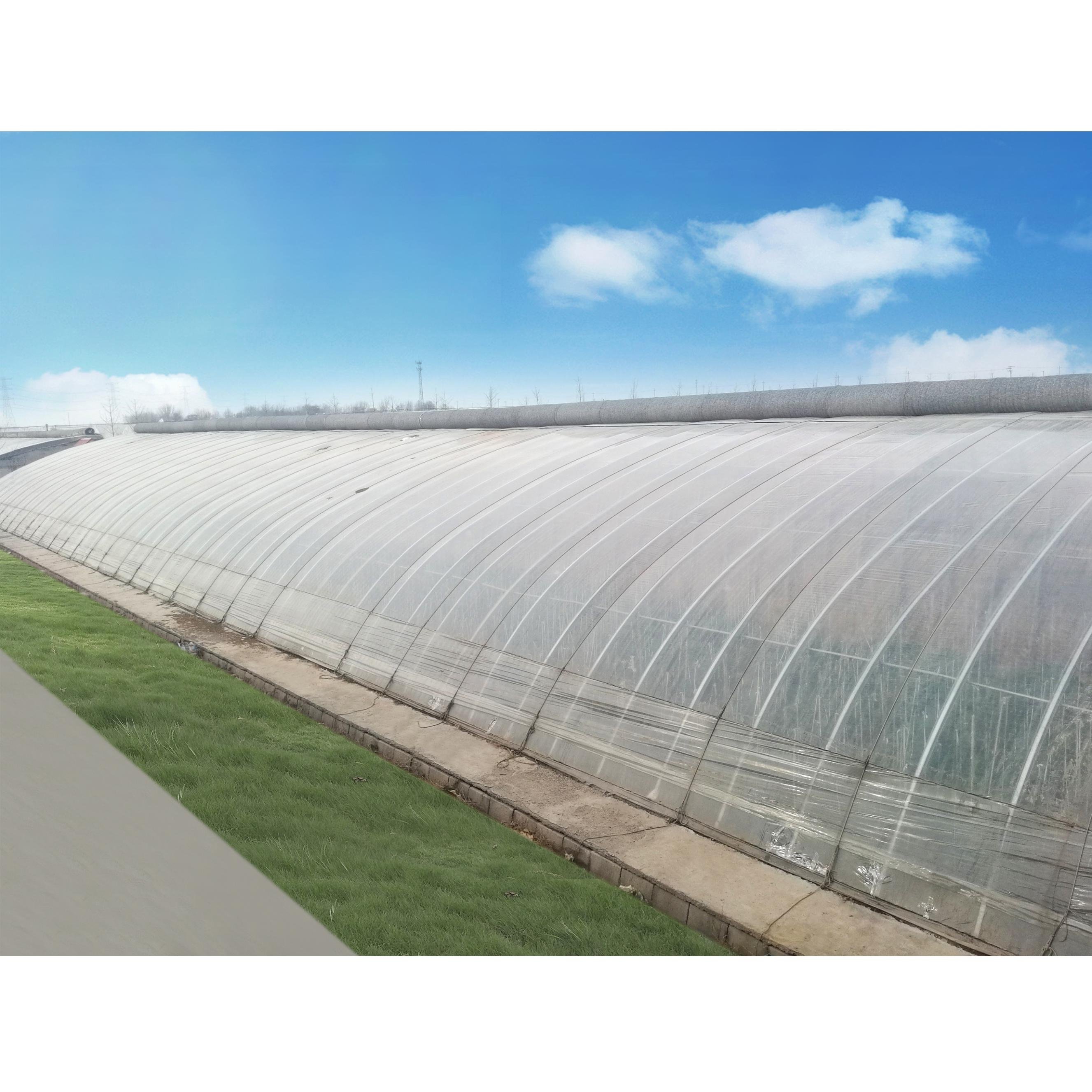 Chinese Passive Solar Agricultural Cheap Greenhouse With Warm Keeping Quilt For Sale