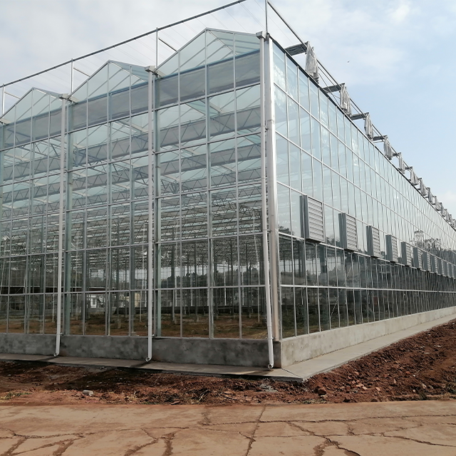 Large Complete Agriculture Glass House Kit Greenhouses for Vegetable Garden