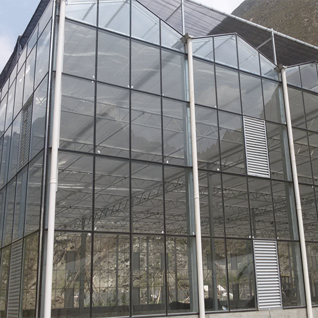Large Complete Agriculture Glass House Kit Greenhouses for Vegetable Garden