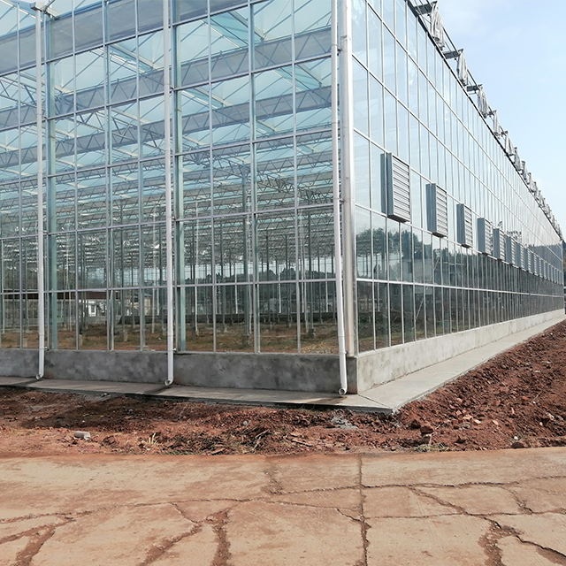 Large Complete Agriculture Glass House Kit Greenhouses for Vegetable Garden