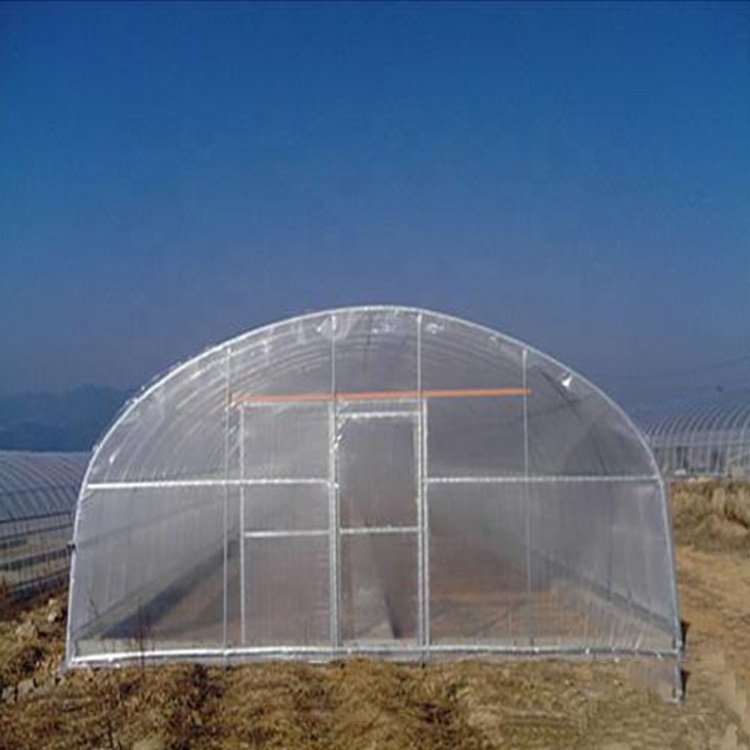 High Quality Custom Size Arched Shed Round Arch Single Shed Plant Growing Greenhouse