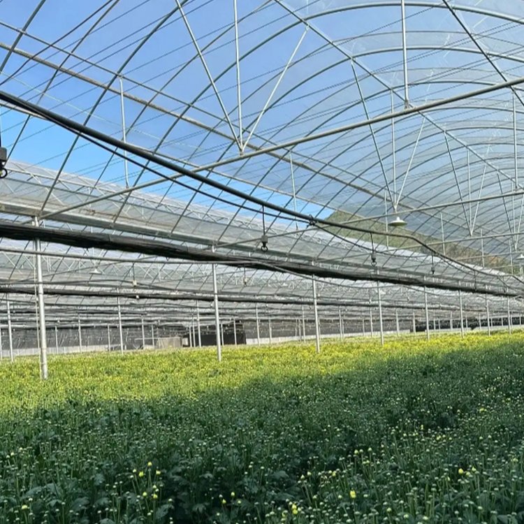 Large multi span plastic greenhouse kit for agricultural flowers and plants, greenhouse frame structure for sale