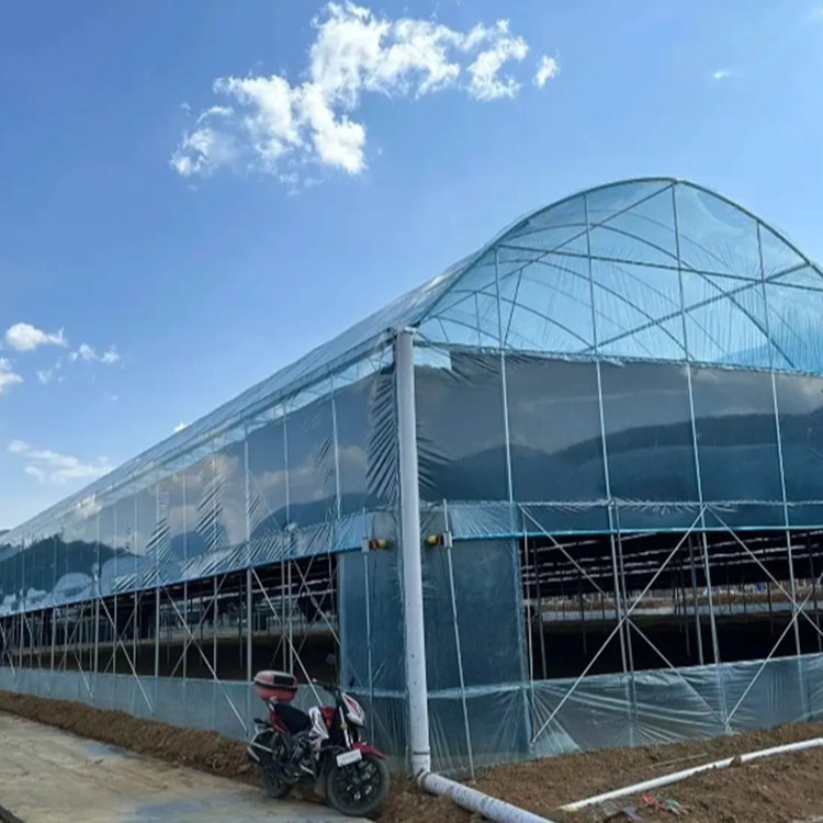 Large multi span plastic greenhouse kit for agricultural flowers and plants, greenhouse frame structure for sale