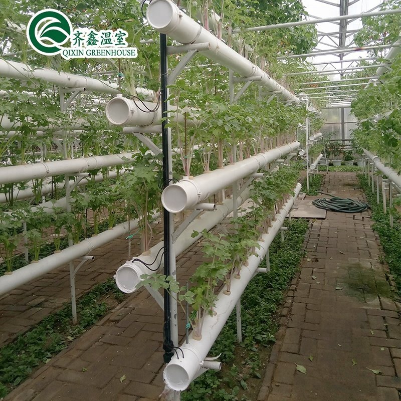 hydroponic container