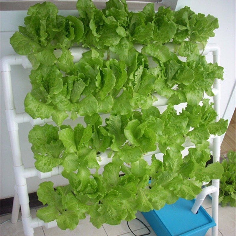hydroponic container