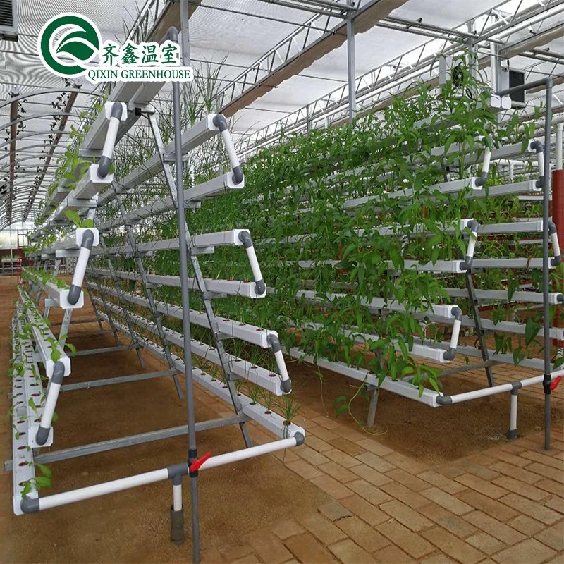 hydroponic container