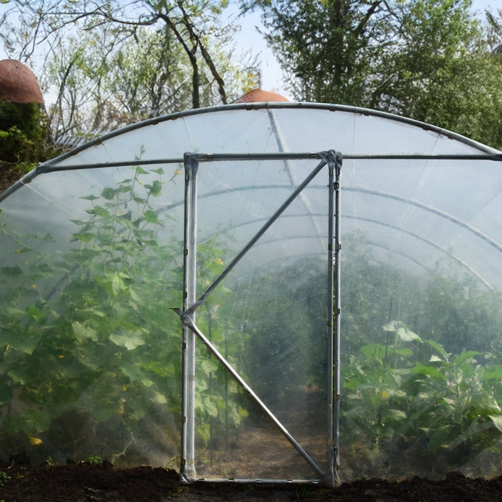 Walk-in Garden Greenhouse Outdoor Green House for Fruits, Vegetables, Plants, and Flowers 8x4.5x2.5 m EU PROFI Greenhouse