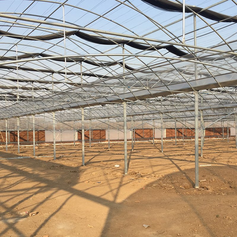 Greenhouse Rack And Pinion For Ventilation System of Cold Frames PC sheet Green House