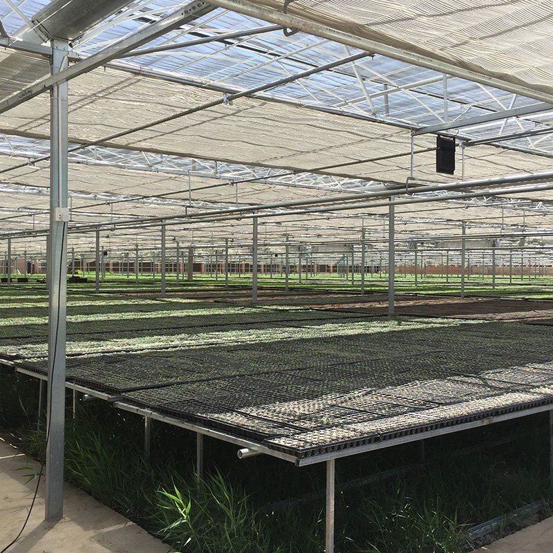 Greenhouse Rack And Pinion For Ventilation System of Cold Frames PC sheet Green House