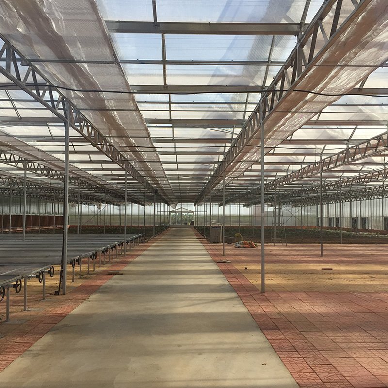 Greenhouse Rack And Pinion For Ventilation System of Cold Frames PC sheet Green House