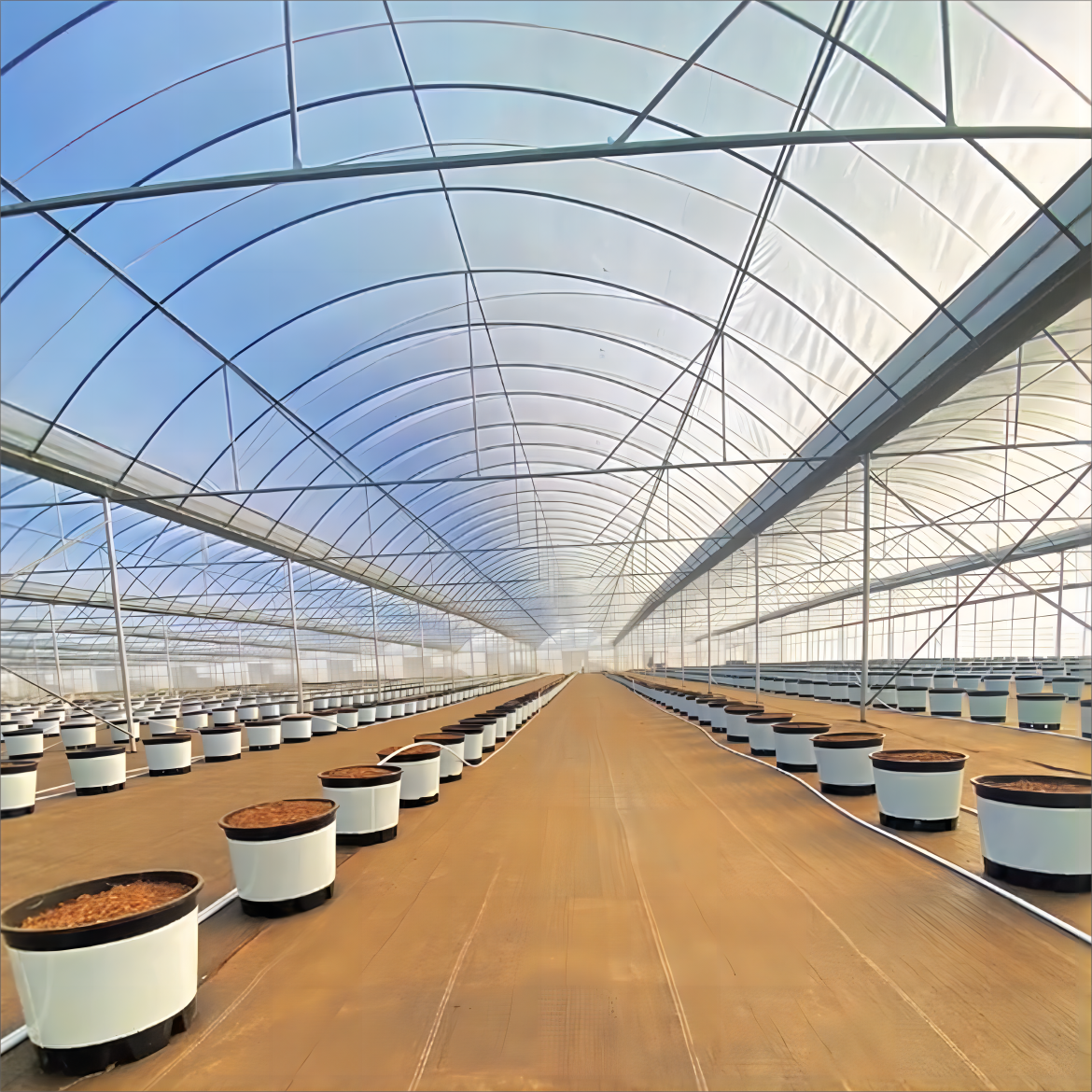 Blueberry Strawberry Flower Green House Low Cost Farming Tunnel Agricultural Greenhouses rain shelter