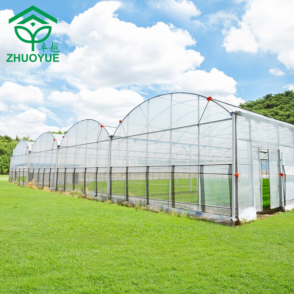 Automated multi span film greenhouse Easy and simple to handle Hot dip Galvanized Steel