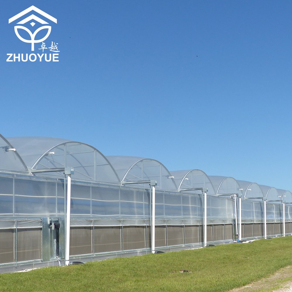 Automated multi span film greenhouse Easy and simple to handle Hot dip Galvanized Steel