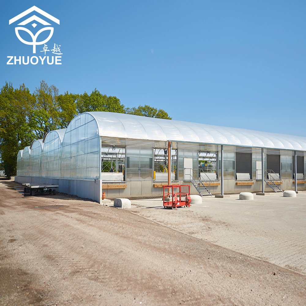 Automated multi span film greenhouse Easy and simple to handle Hot dip Galvanized Steel