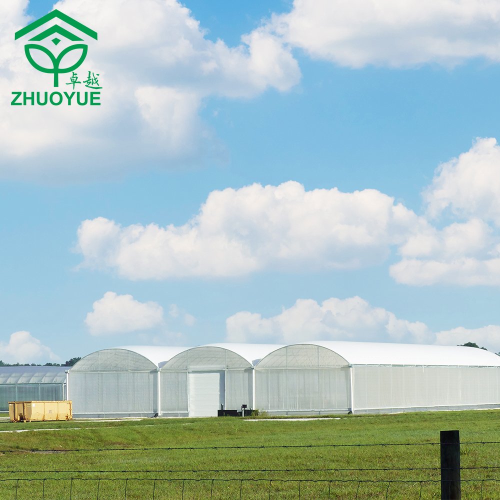 Automated multi span film greenhouse Easy and simple to handle Hot dip Galvanized Steel