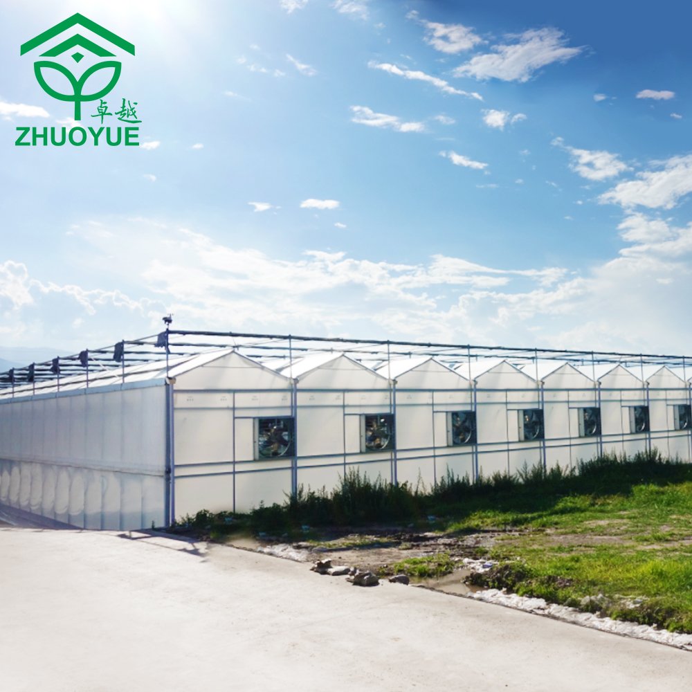 Automated multi span film greenhouse Easy and simple to handle Hot dip Galvanized Steel