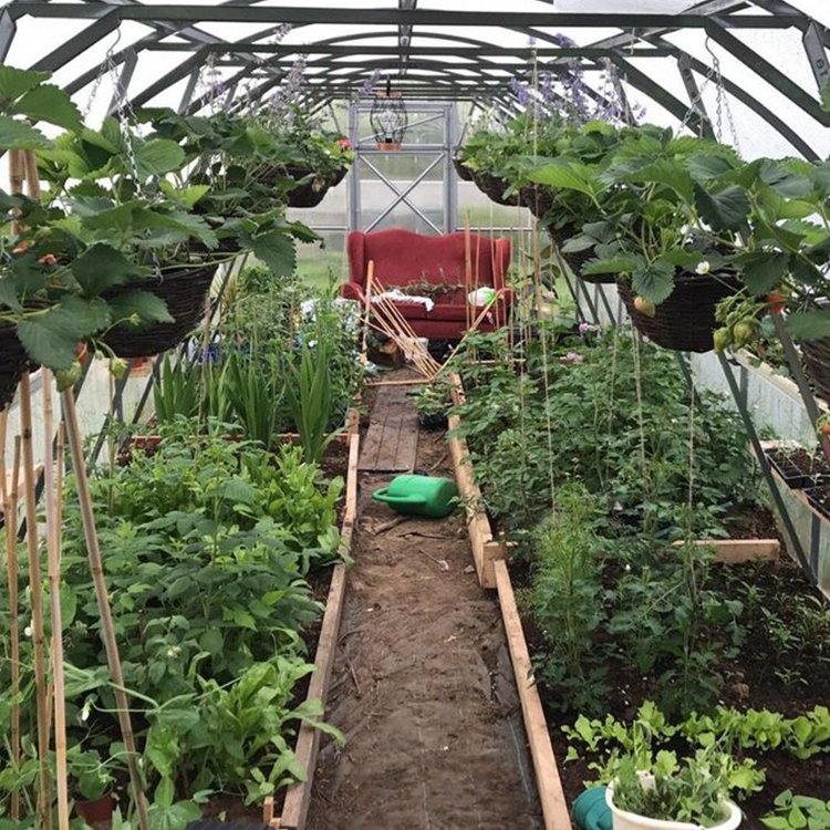 Nature film industrial hydroponic single span polycarbonate greenhouses commercial