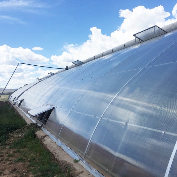 Nature film industrial hydroponic single span polycarbonate greenhouses commercial