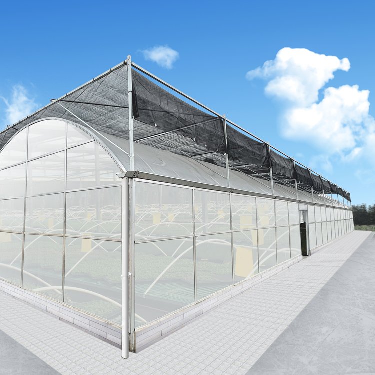 Nature film industrial hydroponic single span polycarbonate greenhouses commercial