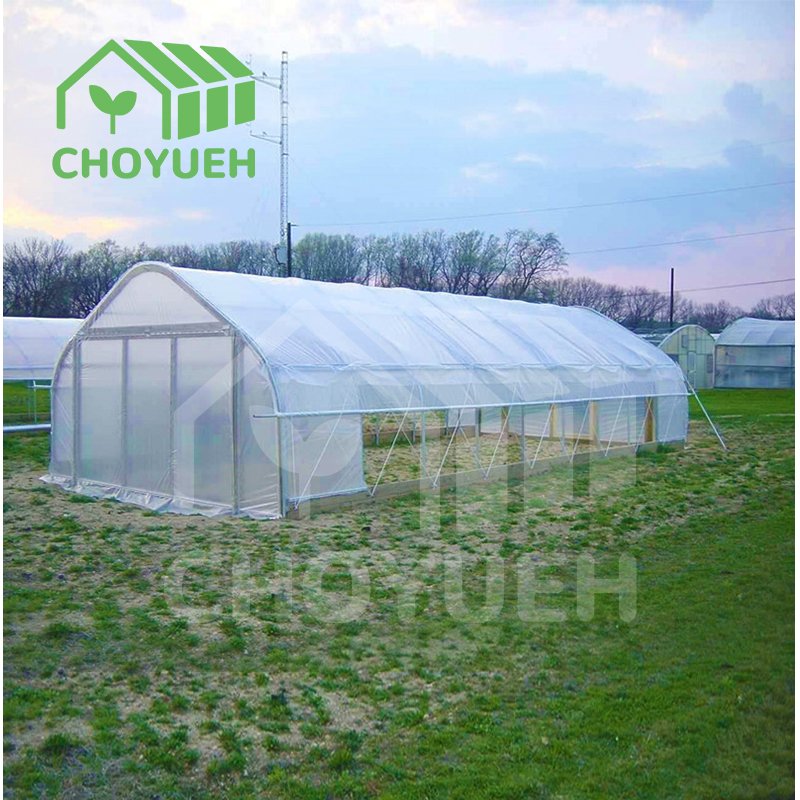 CHOYUEH Manufacturing greenhouse kit single-span film plastic tunnel agricultural greenhouses