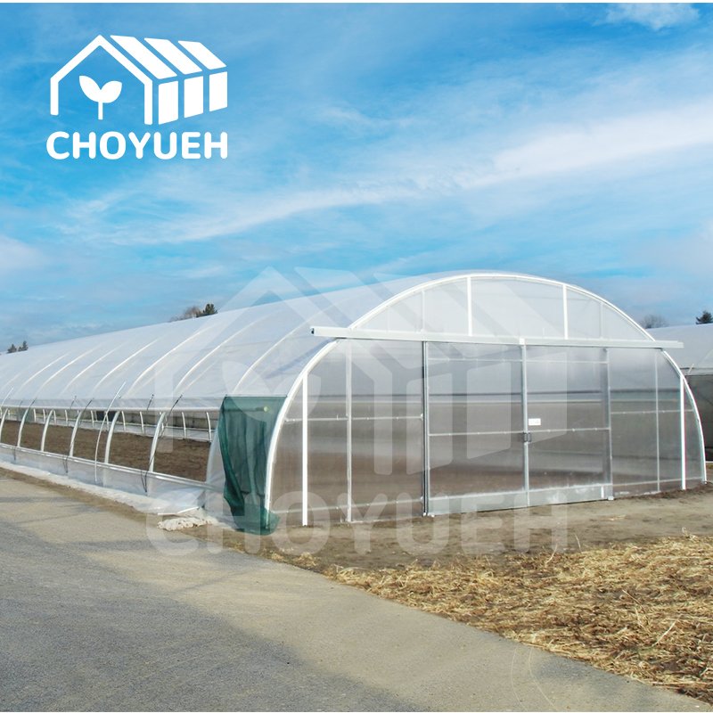 CHOYUEH Manufacturing greenhouse kit single-span film plastic tunnel agricultural greenhouses