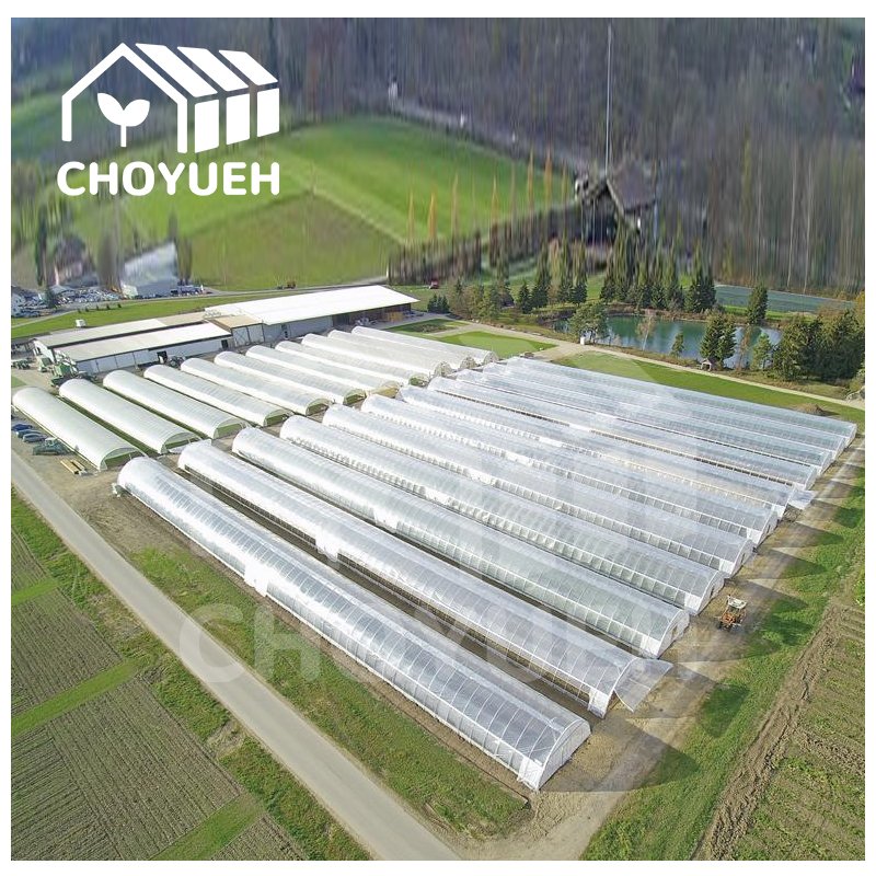 CHOYUEH Manufacturing greenhouse kit single-span film plastic tunnel agricultural greenhouses