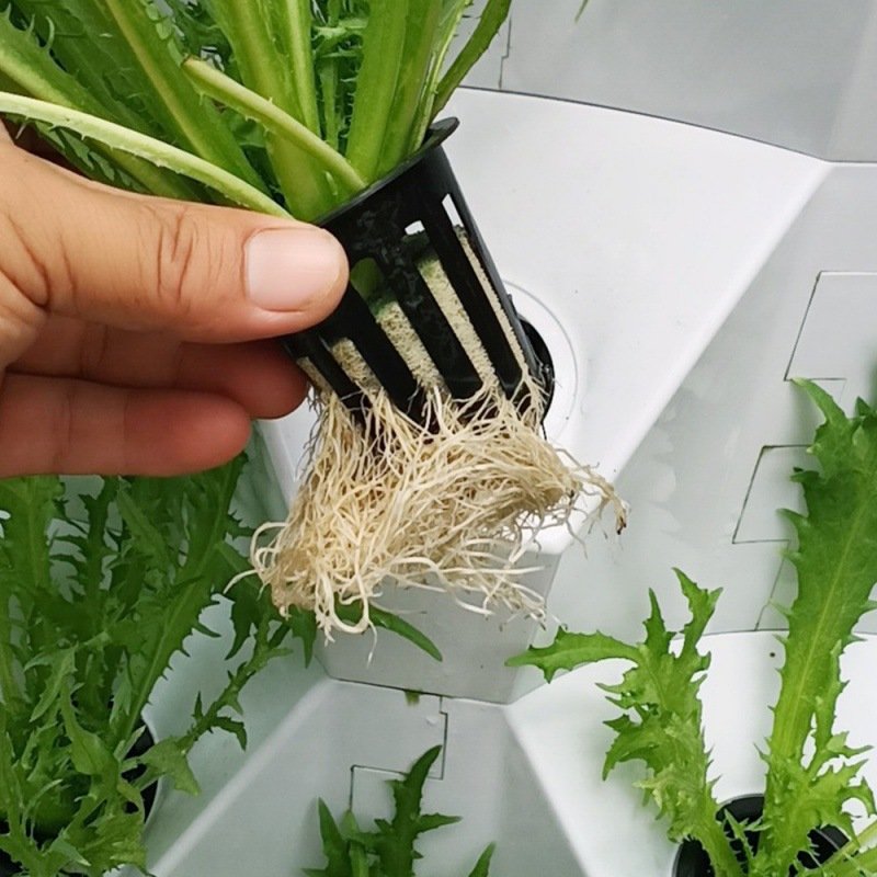 New agricultural greenhouse Indoor Plant Water Cycle Garden Growing Systems Vertical Hydroponic pineapple aeroponic Tower