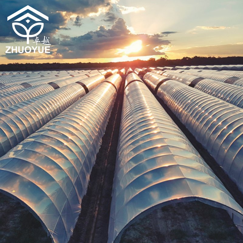CHOYUEH Easy and simple to handle Good Quality hot-dip galvanized steel greenhouse