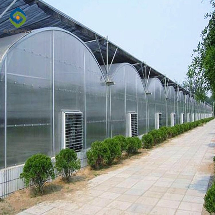 Sainpoly Large Polycarbonate Greenhouse with Steel Frame and PC Sheet Cover