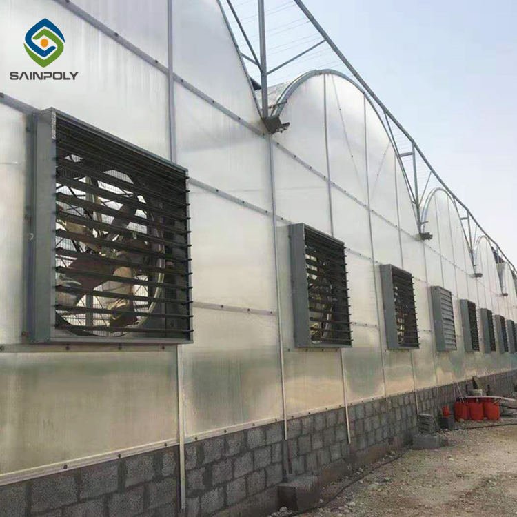 Sainpoly Large Polycarbonate Greenhouse with Steel Frame and PC Sheet Cover