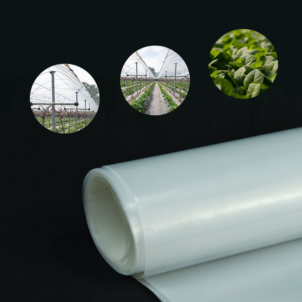 Factory direct selling wide varitities transparent attractive design greenhouse film for Garden seedlings