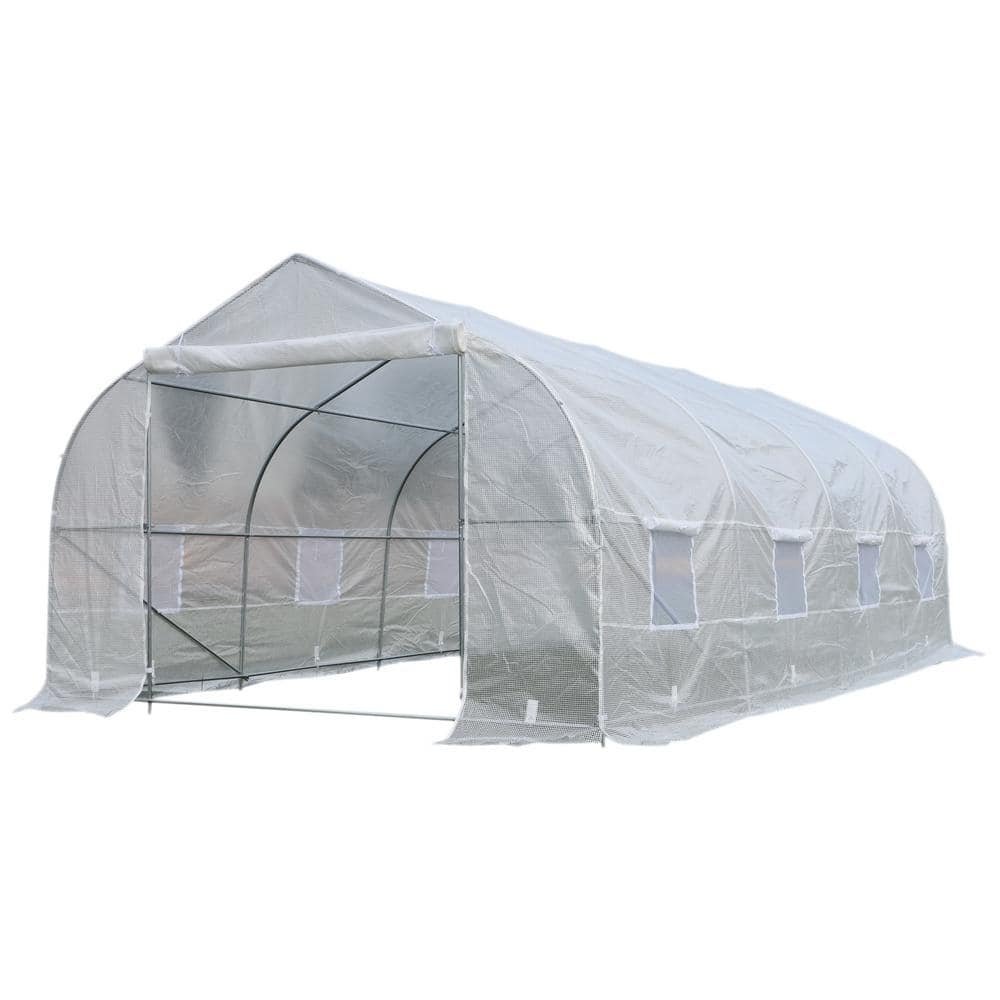 Galvanized steel frame agricultural vegetable single span PE film green house low cost tunnel greenhouse for tomato