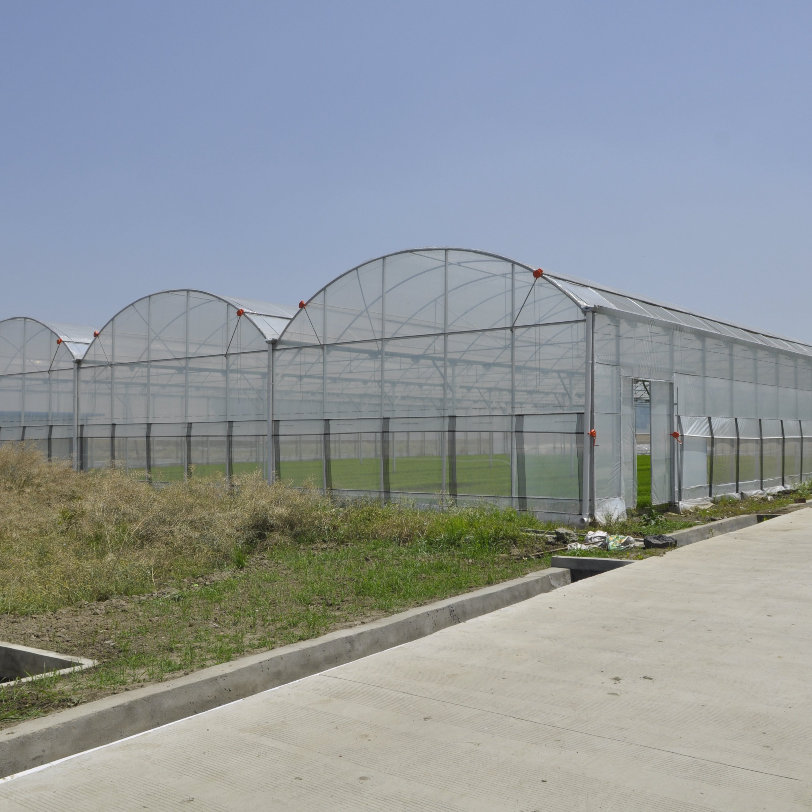 High Production Tomato Agricultural Greenhouse Low Cost