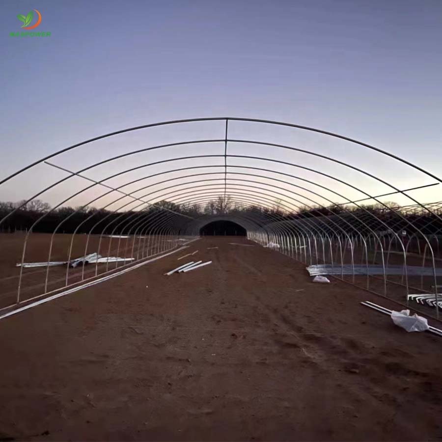Film low costs single span agricultural poly tunnel greenhouse for sale ,tomato ,lettuce, blueberry growing