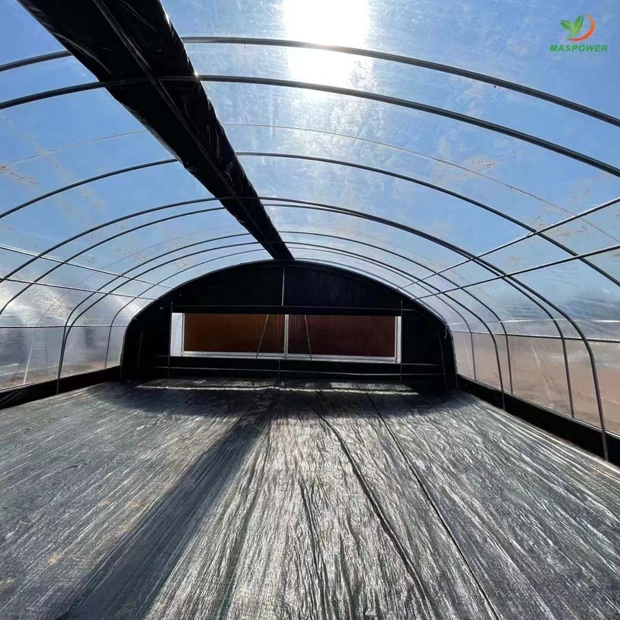 Film low costs single span agricultural poly tunnel greenhouse for sale ,tomato ,lettuce, blueberry growing