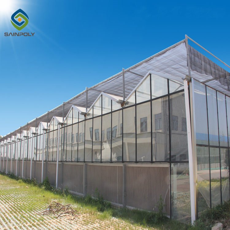 Hot Selling Modern Large Polycarbonate Greenhouse with Economical Galvanized Steel Frame Growing Vegetables Hydroponic Feature