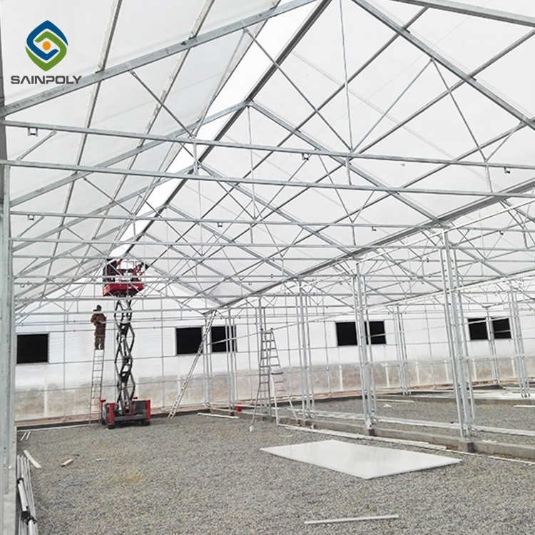Hot Selling Modern Large Polycarbonate Greenhouse with Economical Galvanized Steel Frame Growing Vegetables Hydroponic Feature