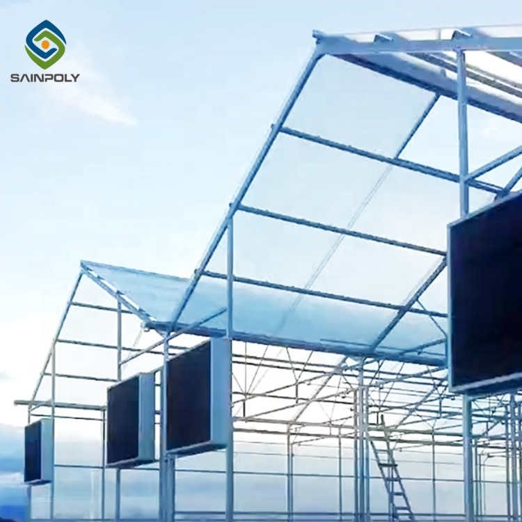 Hot Selling Modern Large Polycarbonate Greenhouse with Economical Galvanized Steel Frame Growing Vegetables Hydroponic Feature