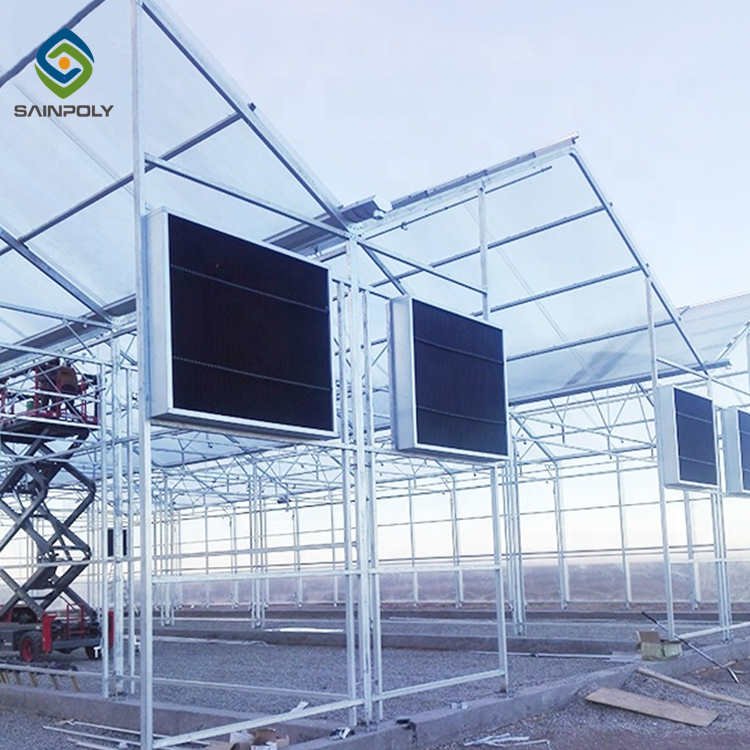 Hot Selling Modern Large Polycarbonate Greenhouse with Economical Galvanized Steel Frame Growing Vegetables Hydroponic Feature