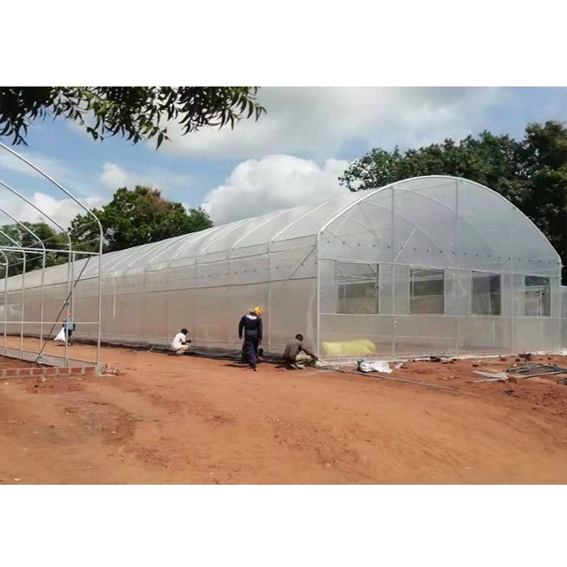 Single Multi-Span Hydroponic System Blackout Vegetable Commercial Agricultural Greenhouses Outdoor Photovoltaic Greenhouse Hot