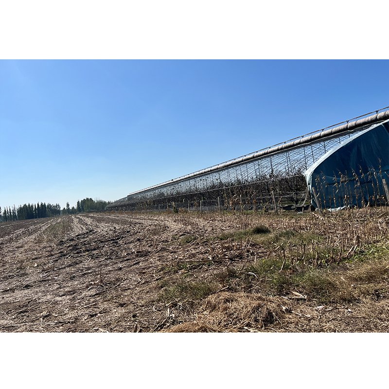 Single Multi-Span Hydroponic System Blackout Vegetable Commercial Agricultural Greenhouses Outdoor Photovoltaic Greenhouse Hot
