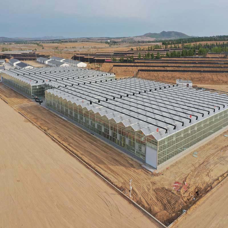 Commercial Glass Agriculture Greenhouse Glass Covering Commercial Agricultural Multi-span Green House