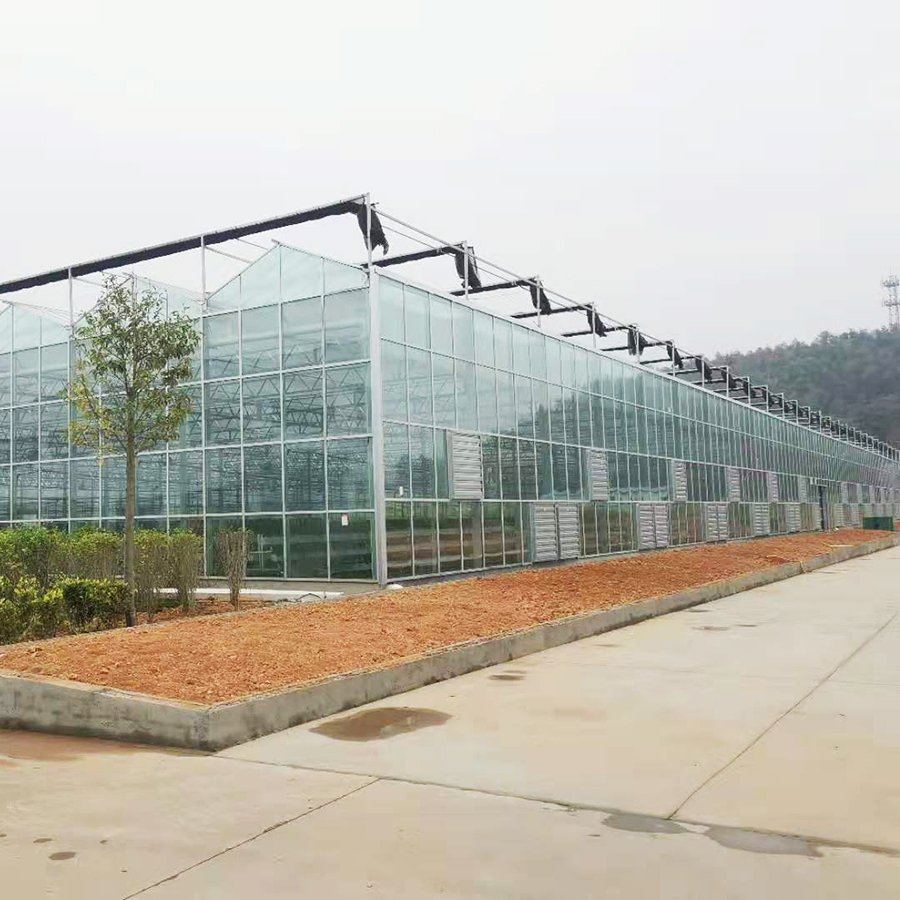 Commercial Glass Agriculture Greenhouse Glass Covering Commercial Agricultural Multi-span Green House