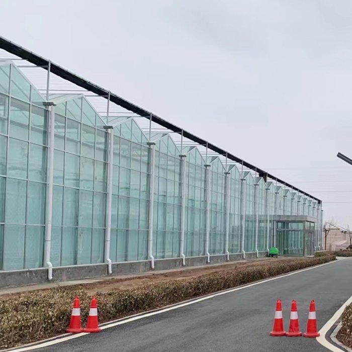 Commercial Glass Agriculture Greenhouse Glass Covering Commercial Agricultural Multi-span Green House