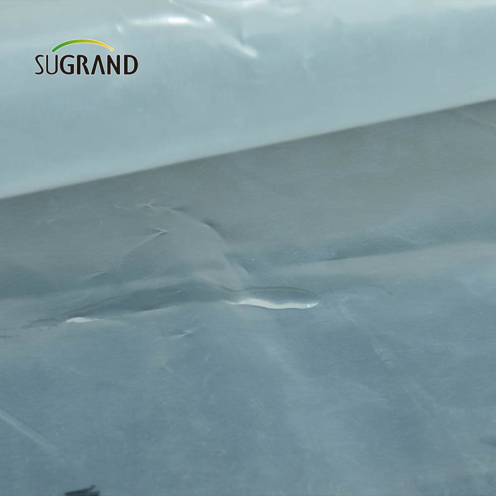 Factory direct price agriculture greenhouse film uv greenhouse film for Greenhouse